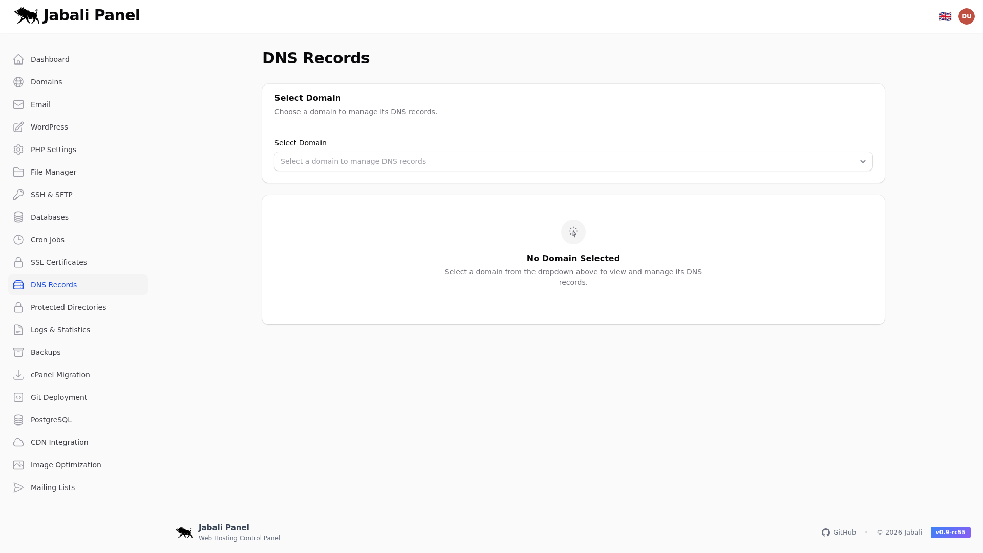 Dns Records Screenshot